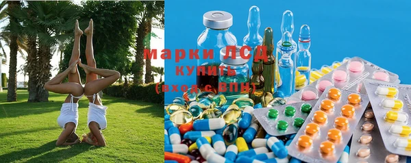стаф Беломорск