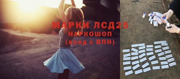 стаф Беломорск