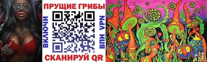 магазин Верещагино Галлюциногенные грибы прущие грибы
